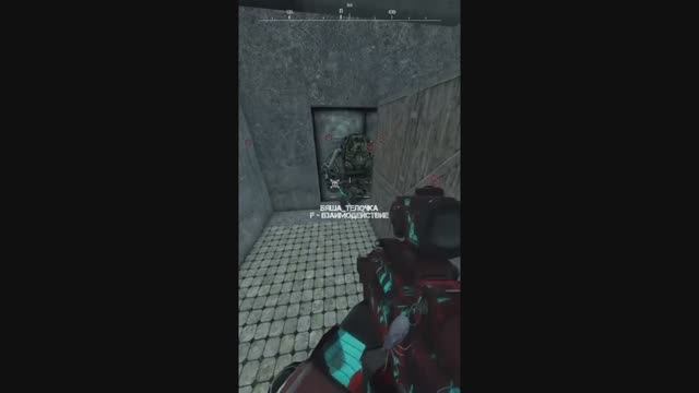 Stalcraft Shorts 2