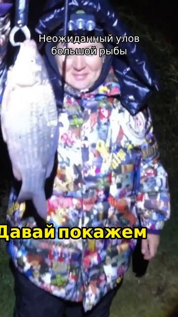 Отличный улов карася весом 950 грамм рыболов рыба рыбак рыболовство природа лето рыбалка2024