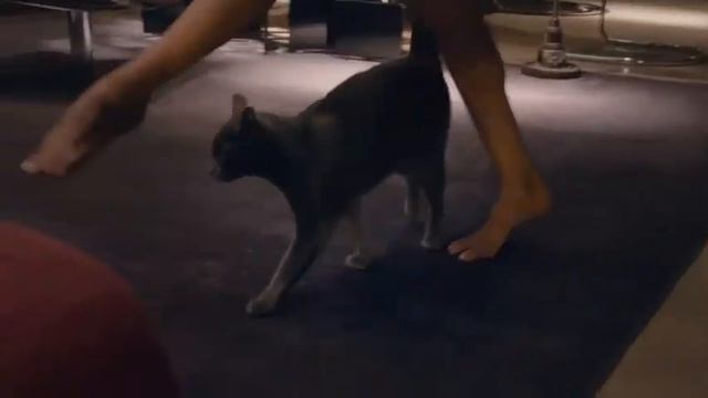 Eva Longoria è Il Volto Della Nuova Campagna Pubblicitaria Sheba