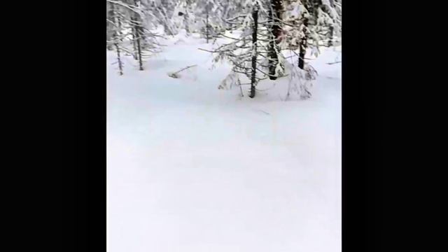 Здоровый образ жизни