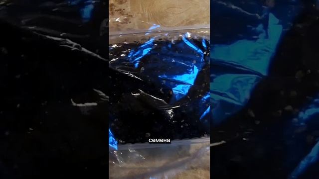 Русский Огород