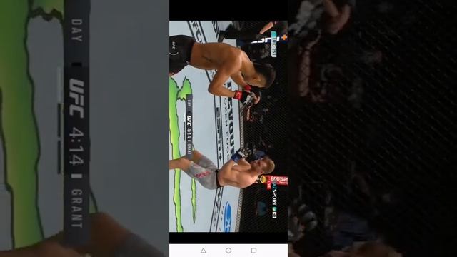 Прямая трансляция UFC