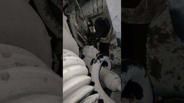 00d1bbc9449a5c459ea1e5c79178063c