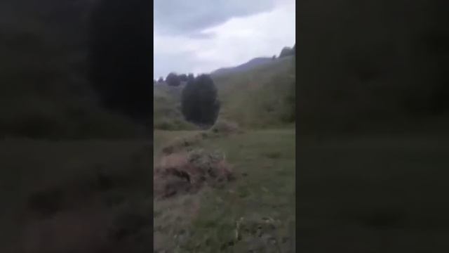 Скоро очень скоро наступят веселые моменты. Трактор брат сам собирал по частям#сенокос#трактор#лето