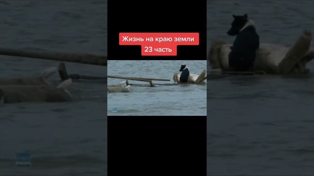 6c8ea6db5803a2ad4a444f2b52b0abba