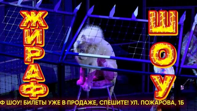 Жираф шоу - анонс