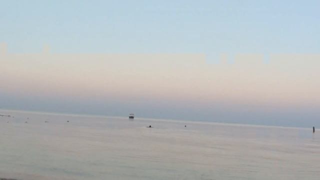 ДР Кумы. Заозерка 2016.