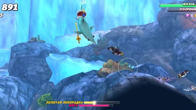 Hungary Shark World  акула Мако