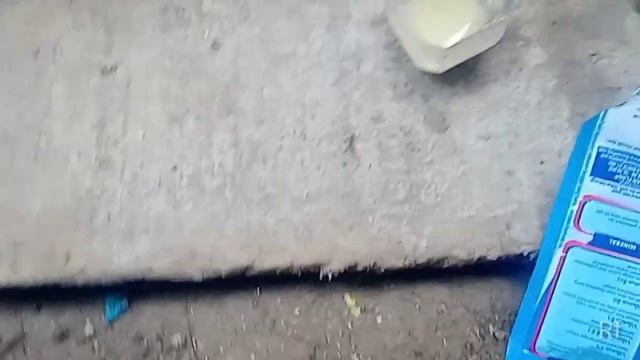 CARA MERACIK NEKTAR SUPAYA KOLIBRI GEMUK TIDAK NYILET DAN TIDAK GEMBUNG