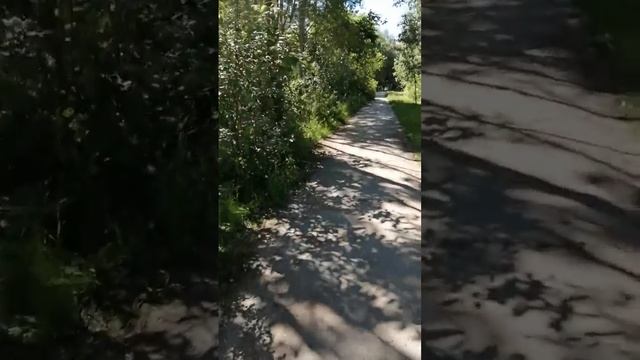 Иду по центру Жилетово 18.06.2021