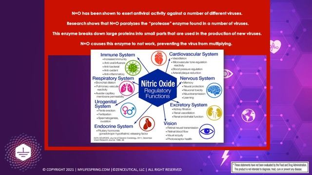 Nitric Oxide Intra-oral Spray That Delivers Targeted Nitric Oxide For Immune Support!