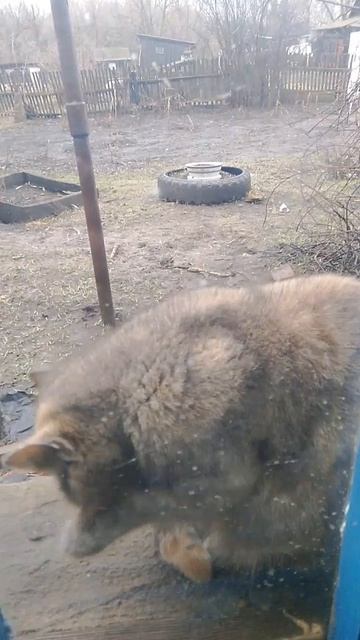 56a6f5276a9d2ece3fcb508728184efd