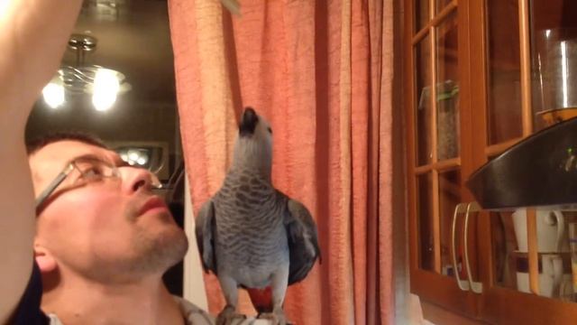 Викки - смесь/творог 0% 50/50