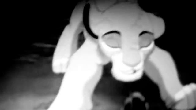 6bb9189db5452956e8b27995a47e8038