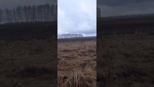 Между с.Колышлейка и р.Ивановка (где то🙂).27.03.25.)))