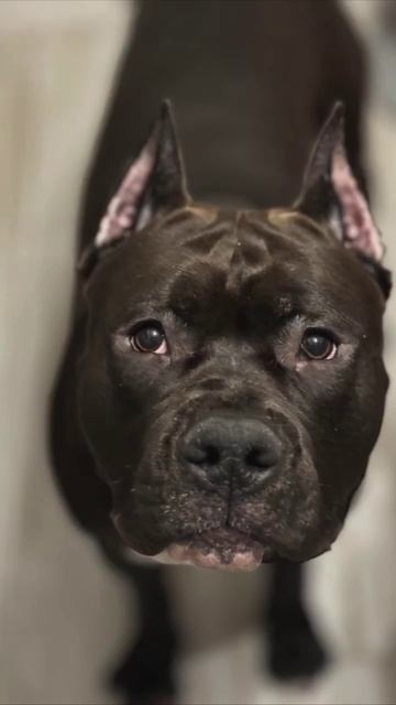 D44b56be6f7ed4f9214cd2da6f67b21e