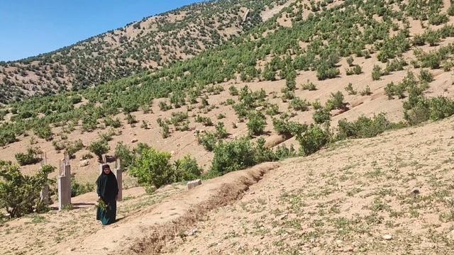 Struggle For Survival🤠🌹 And Navigating Life Paths In Difficult Conditions