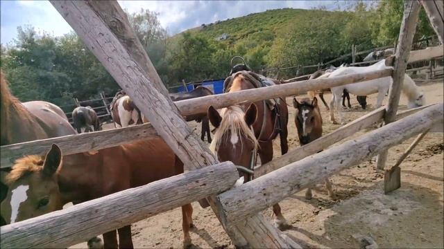 B65e08d2c05f3ffd199ccb7d7781215e