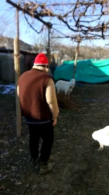 8 марта 2024 г.