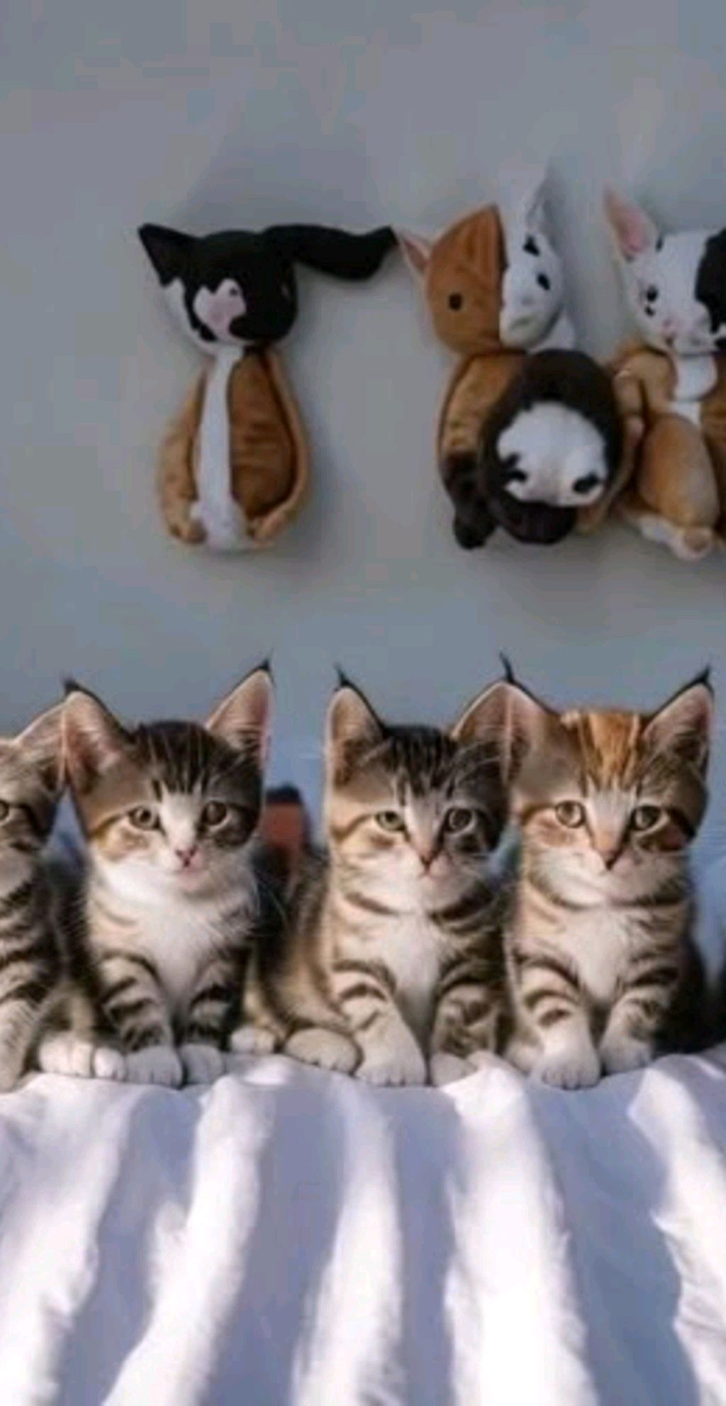 СХОДКА В АДОПТ МИ ник в описании