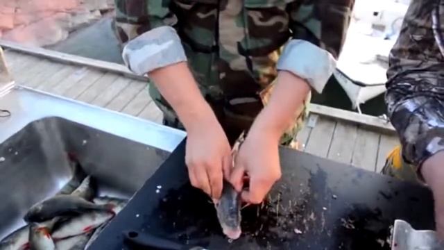 Как правильно чистить окуня !