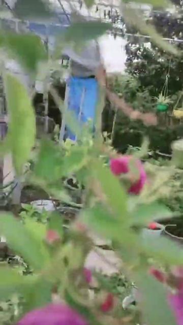 56bfc00da32db12a5f20b685fb60f58b