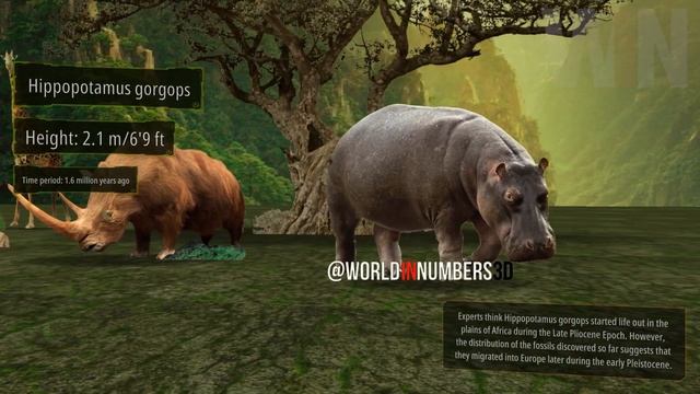 Largest Prehistoric Land Mammals | Size Comparison