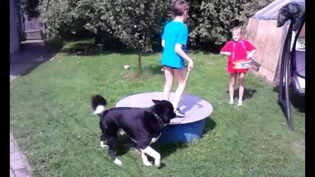 131236ceeb758ec31b65002fe92027dd