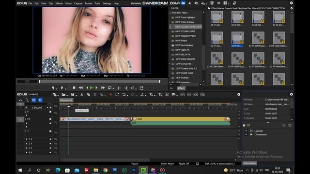 Edius X New Presets Color Correction Skin Retouching  Hair Box  | By:- Vivek Film #8115671264