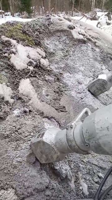 D584e65de898cdf1cfee9f42a383d866