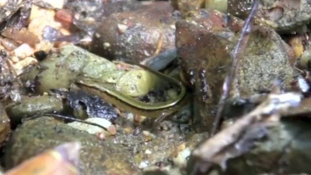 7f6b72e1b72362140a4e23ba929aef91