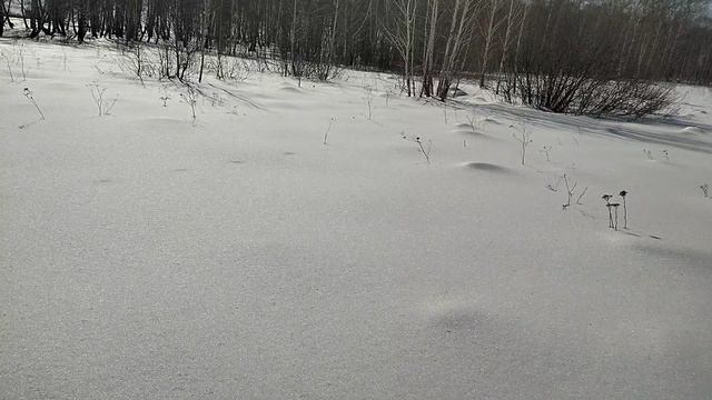 A80d3e5d481381222ce9272e3695c136