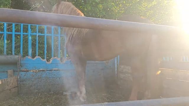 1 сентября 2022 г.