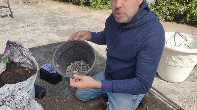 How To Plant Blueberries In.a Container