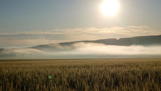 Slow TV. Гроза и туман в деревушке.