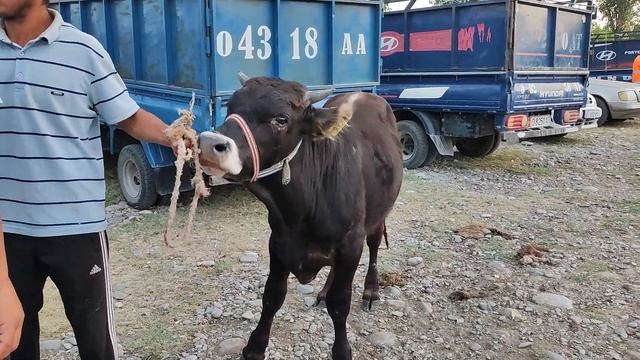 E876c23d14a45b8b9e13546373ad0501