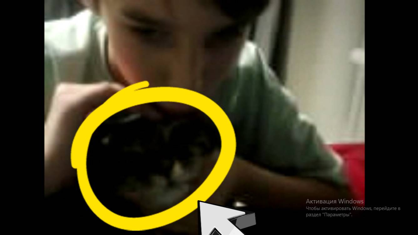 у блогера Yandexvaltgame есть кот?!