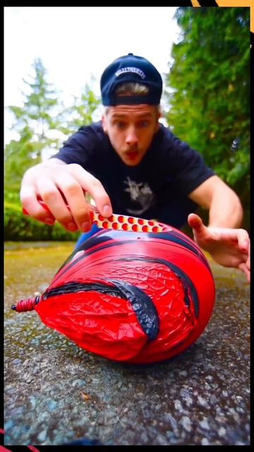 195e62f68873704bdaba9f24a0f1a245