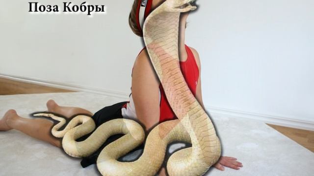 02 Йога и спорт