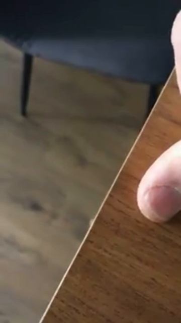 как появилась монета из утиных историй