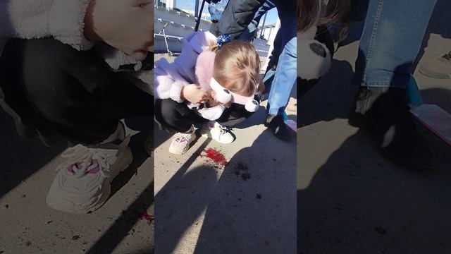 СТП самокатно трековое происшествие.