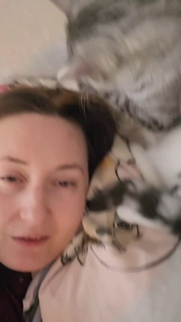 Если дома кошки