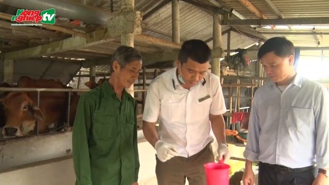 Quảng Trị Tăng Cường Kiểm Tra Chất Cấm Trong Chăn Nuôi