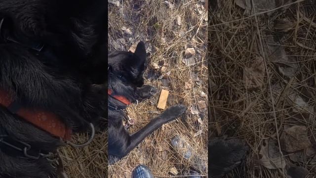 Елена Уварова (Yvette)