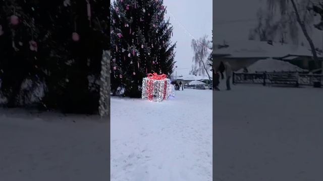 тушёная капуста, подарок под ёлкой)