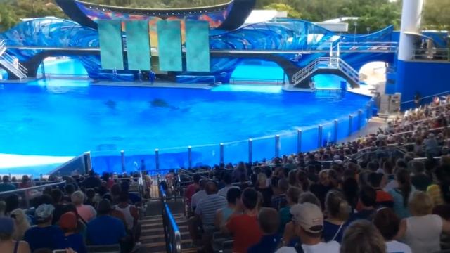 De028d60144f7e1fa0443f8cddff0f50