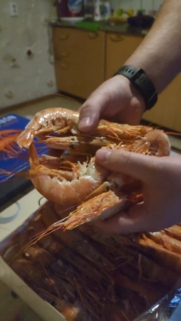 F0fcc2c0fe38c1d6f9e87608a1fdcb3c