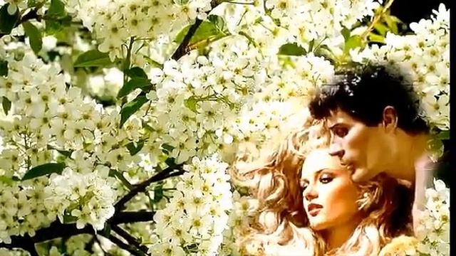 B55af8b71c9dbacfe0e39680acf39014