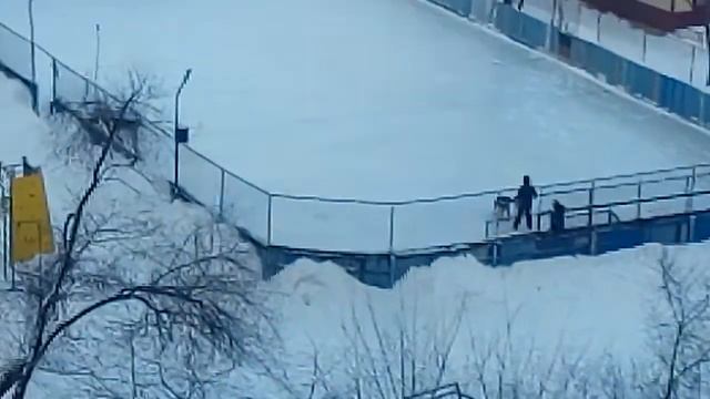 Мороз — 28 град, Хабаровск