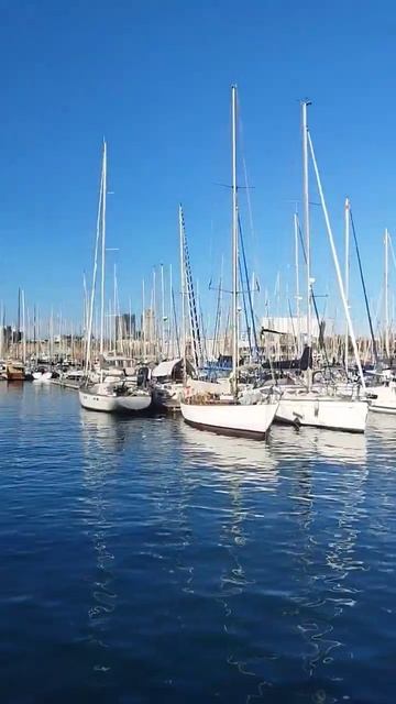 PlacesToVisit In Barcelona #travel #travelvlog #relaxation #tour #spain #virtualtour #sagradafamili